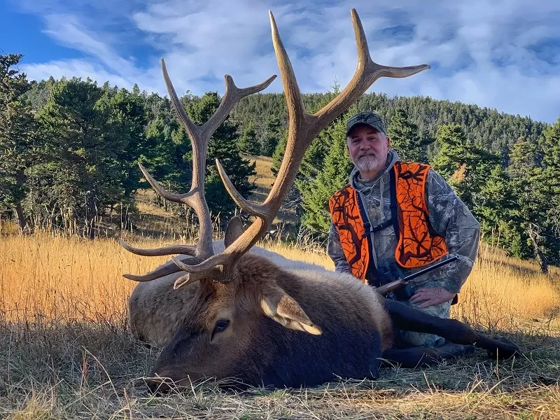 Guided Rifle hunting for elk in Montana